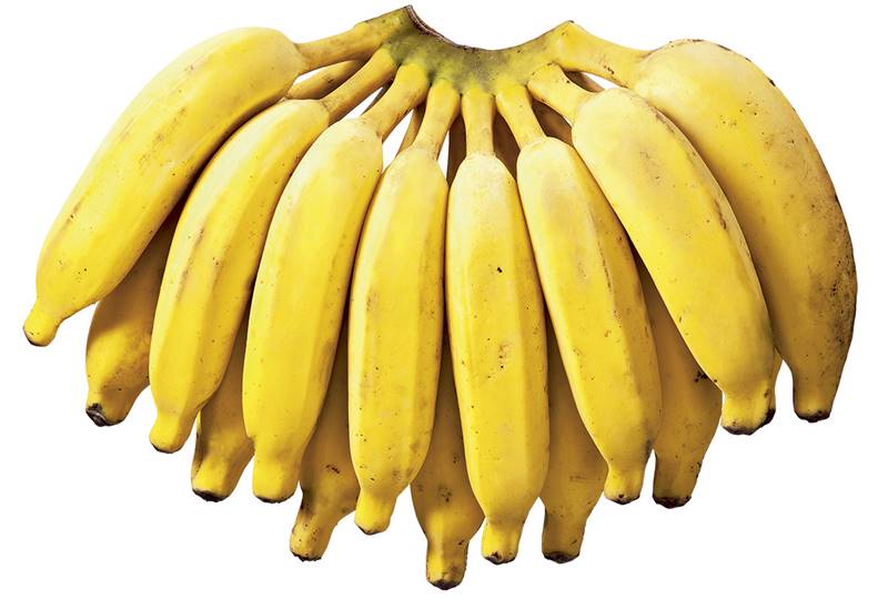 O que é sonhar com muita banana madura